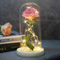 Symbole de Beauté : Rose Immortelle en Globe